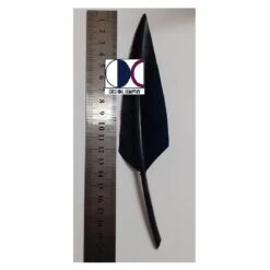 Penna Nera Corta Per Elmetto Alpino