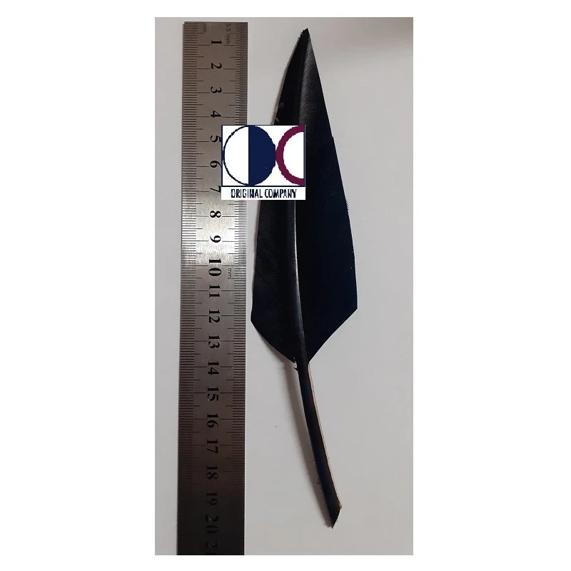 Penna Nera Corta Per Elmetto Alpino